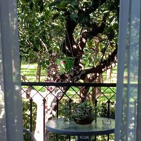 Harision Apartment Sparta