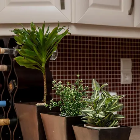 Apartment Harision Sparta