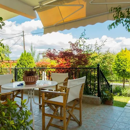 Harision 스파르티