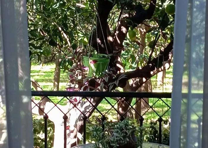 Harision Διαμέρισμα Σπάρτη