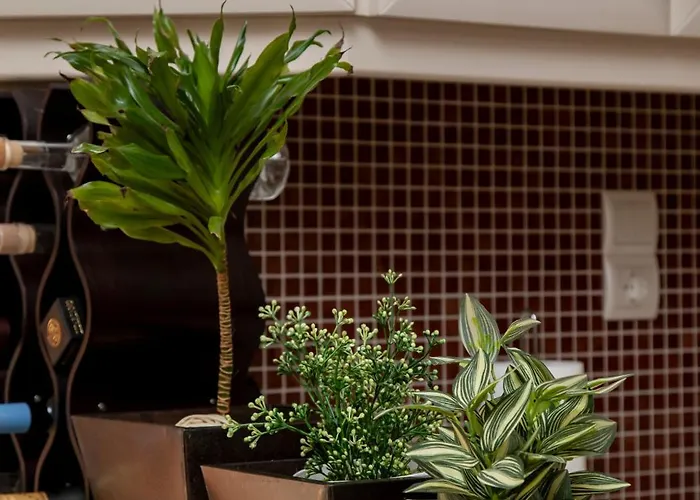 Διαμέρισμα Harision Σπάρτη